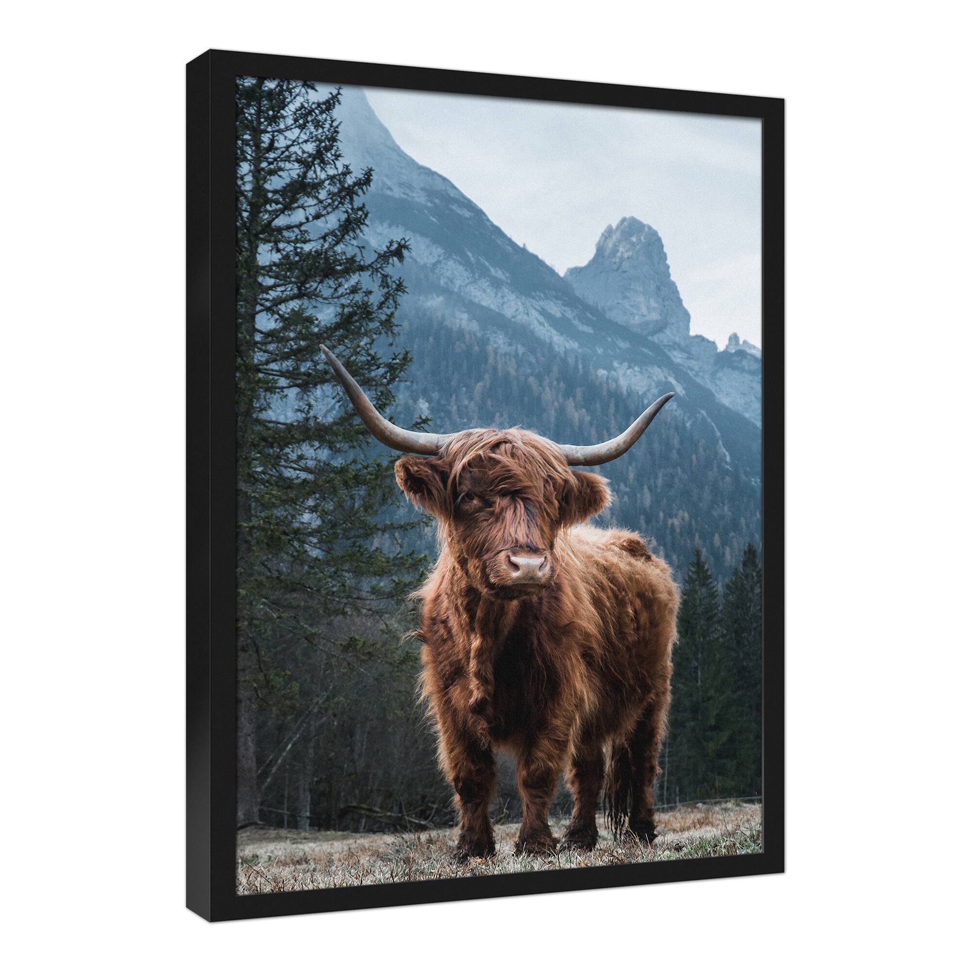 Moody Highland 21.73" x 31.73" Black Framed Canvas